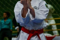 AdJ_VII-Campeonato-SulAmericano-GojuKai-Dia1_069