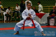 AdJ_VII-Campeonato-SulAmericano-GojuKai-Dia1_071