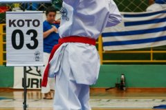 AdJ_VII-Campeonato-SulAmericano-GojuKai-Dia1_073