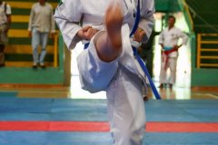 AdJ_VII-Campeonato-SulAmericano-GojuKai-Dia1_076