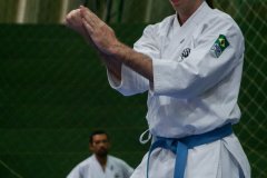 AdJ_VII-Campeonato-SulAmericano-GojuKai-Dia1_080