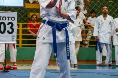 AdJ_VII-Campeonato-SulAmericano-GojuKai-Dia1_081