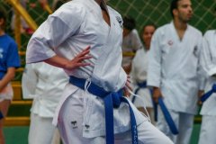 AdJ_VII-Campeonato-SulAmericano-GojuKai-Dia1_083