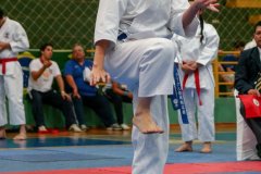 AdJ_VII-Campeonato-SulAmericano-GojuKai-Dia1_084