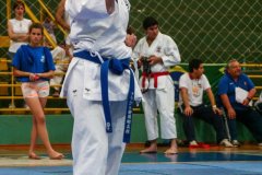 AdJ_VII-Campeonato-SulAmericano-GojuKai-Dia1_085