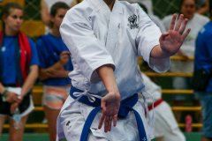 AdJ_VII-Campeonato-SulAmericano-GojuKai-Dia1_086