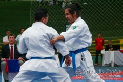 AdJ_VII-Campeonato-SulAmericano-GojuKai-Dia1_090