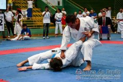 AdJ_VII-Campeonato-SulAmericano-GojuKai-Dia1_092