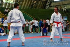 AdJ_VII-Campeonato-SulAmericano-GojuKai-Dia1_093