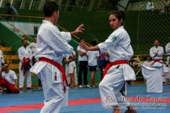 AdJ_VII-Campeonato-SulAmericano-GojuKai-Dia1_094