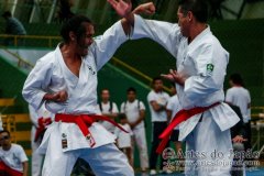 AdJ_VII-Campeonato-SulAmericano-GojuKai-Dia1_096