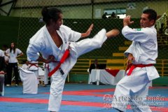 AdJ_VII-Campeonato-SulAmericano-GojuKai-Dia1_098