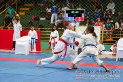 AdJ_VII-Campeonato-SulAmericano-GojuKai-Dia2_019