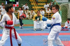 AdJ_VII-Campeonato-SulAmericano-GojuKai-Dia2_024