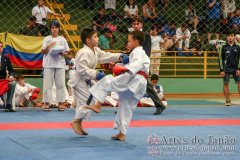 AdJ_VII-Campeonato-SulAmericano-GojuKai-Dia2_025