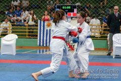 AdJ_VII-Campeonato-SulAmericano-GojuKai-Dia2_027