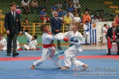 AdJ_VII-Campeonato-SulAmericano-GojuKai-Dia2_028