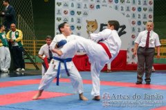 AdJ_VII-Campeonato-SulAmericano-GojuKai-Dia2_030