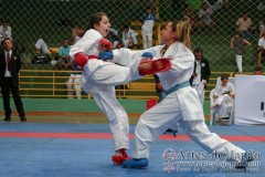 AdJ_VII-Campeonato-SulAmericano-GojuKai-Dia2_034