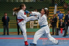 AdJ_VII-Campeonato-SulAmericano-GojuKai-Dia2_035