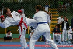 AdJ_VII-Campeonato-SulAmericano-GojuKai-Dia2_039
