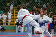 AdJ_VII-Campeonato-SulAmericano-GojuKai-Dia2_040