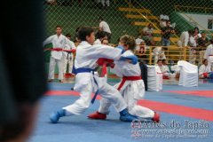 AdJ_VII-Campeonato-SulAmericano-GojuKai-Dia2_041