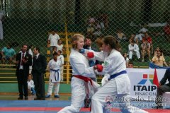 AdJ_VII-Campeonato-SulAmericano-GojuKai-Dia2_043