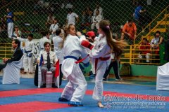 AdJ_VII-Campeonato-SulAmericano-GojuKai-Dia2_045