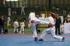 AdJ_VII-Campeonato-SulAmericano-GojuKai-Dia2_046