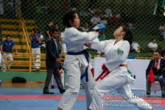 AdJ_VII-Campeonato-SulAmericano-GojuKai-Dia2_048