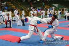 AdJ_VII-Campeonato-SulAmericano-GojuKai-Dia2_055