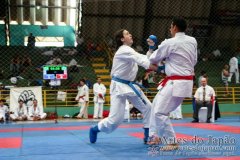 AdJ_VII-Campeonato-SulAmericano-GojuKai-Dia2_056