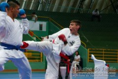 AdJ_VII-Campeonato-SulAmericano-GojuKai-Dia2_059