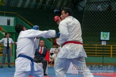 AdJ_VII-Campeonato-SulAmericano-GojuKai-Dia2_061