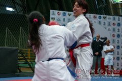 AdJ_VII-Campeonato-SulAmericano-GojuKai-Dia2_062