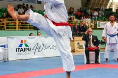 AdJ_VII-Campeonato-SulAmericano-GojuKai-Dia2_066