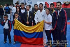 AdJ_VII-Campeonato-SulAmericano-GojuKai-Dia2_074