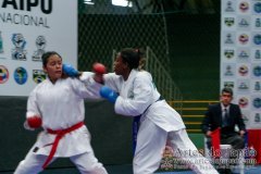 AdJ_VII-Campeonato-SulAmericano-GojuKai-Dia2_078