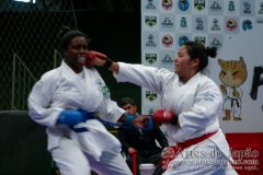 AdJ_VII-Campeonato-SulAmericano-GojuKai-Dia2_079