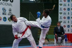 AdJ_VII-Campeonato-SulAmericano-GojuKai-Dia2_081