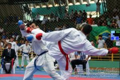 AdJ_VII-Campeonato-SulAmericano-GojuKai-Dia2_083