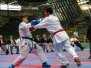VII Campeonato Sul-Americano De Karate-Do Goju-Kai - Dia 2
