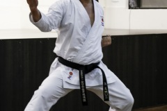 Workshop De Karate-Do Com Sensei Do Japão